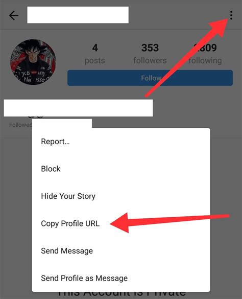 how to tell if someone's ig is private|view private instagram account anonymously.